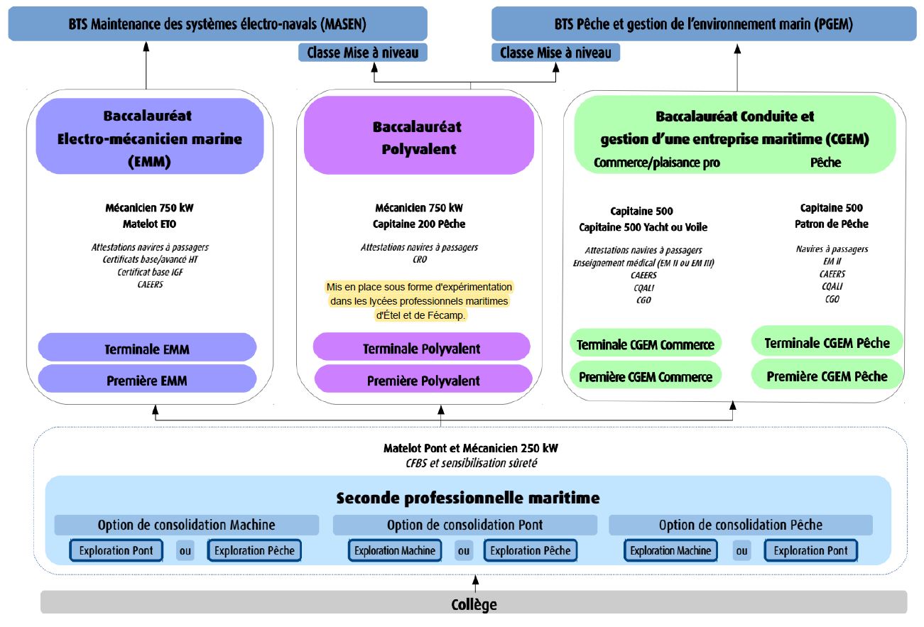 Réforme du bac professionnel